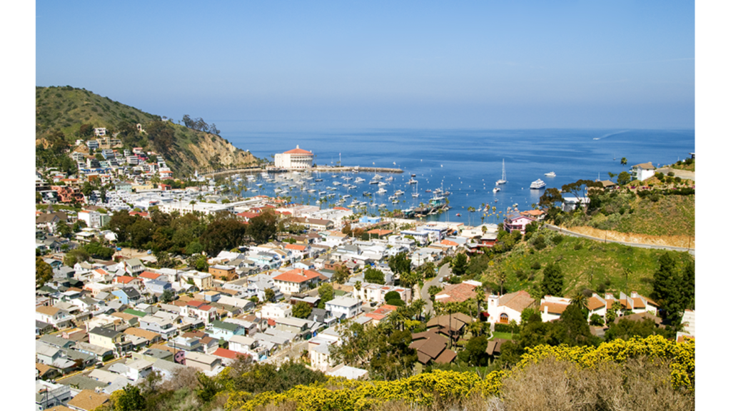 what to do on Catalina island